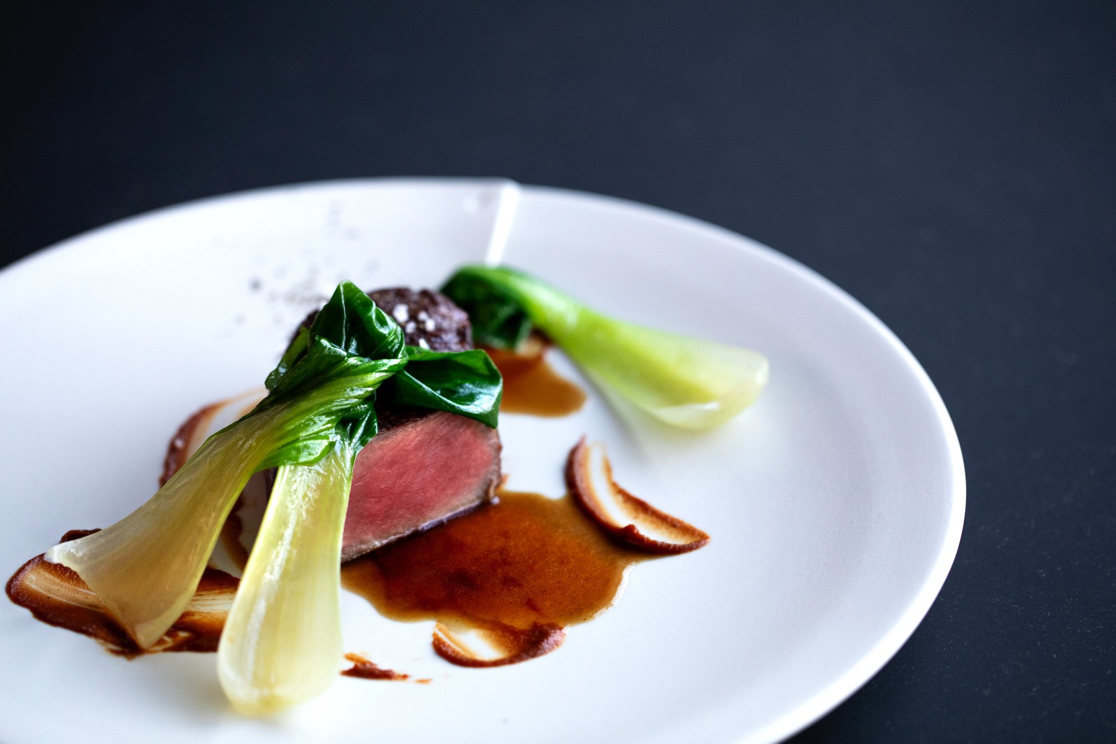 Bras Hallegrains 6x5a0782